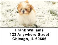 Snowbound Shih Tzus Address Labels