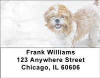 Snowbound Shih Tzus Address Labels