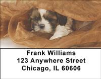 Peekaboo Shih Tzus Address Labels