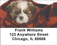 Peekaboo Shih Tzus Address Labels