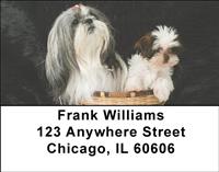 Basket of Shih Tzus Address Labels