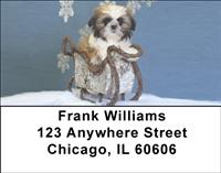 Basket of Shih Tzus Address Labels