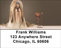 Adorable Shih Tzus Address Labels