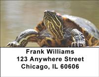 Red-Eared Slider Turtle Address Labels