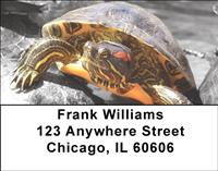 Red-Eared Slider Turtle Address Labels