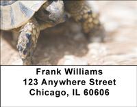 Desert Turtle Address Labels