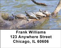 Water-Logged Turtles Address Labels