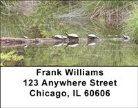 Water-Logged Turtles Address Labels