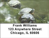Water-Logged Turtles Address Labels