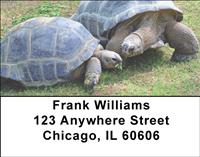 Turtle Chat Address Labels