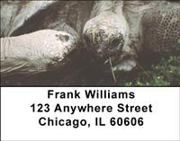 Turtle Chat Address Labels