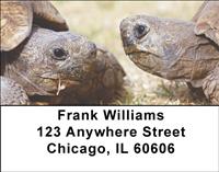 Turtle Chat Address Labels