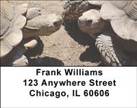 Turtle Chat Address Labels