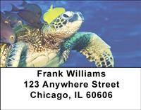 Sea Turtles Address Labels
