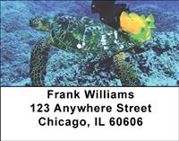 Sea Turtles Address Labels