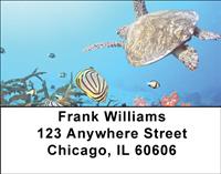 Sea Turtles Address Labels