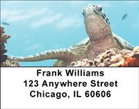 Sea Turtles Address Labels