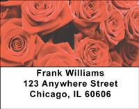 Bed of Roses Address Labels