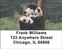 Panda Family Address Labels