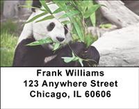 Panda Snack Time Address Labels