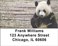 Panda Snack Time Address Labels