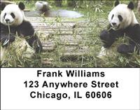 Panda Snack Time Address Labels