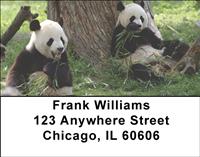 Panda Snack Time Address Labels