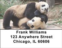 Playful Pandas Address Labels