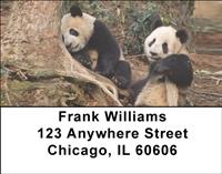 Playful Pandas Address Labels