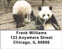 Playful Pandas Address Labels