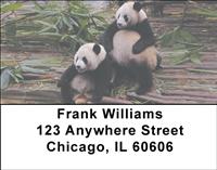 Playful Pandas Address Labels