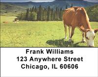 Grazing Cows Address Labels