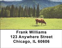 Grazing Cows Address Labels