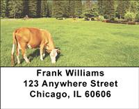 Grazing Cows Address Labels