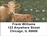 Brown Cows Address Labels