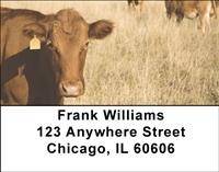 Brown Cows Address Labels
