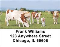 Cow And Calf Address Labels