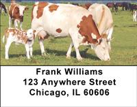 Cow And Calf Address Labels