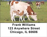 Cow And Calf Address Labels