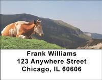 Relaxing Cows Address Labels