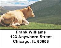 Relaxing Cows Address Labels