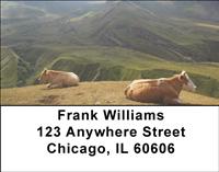 Relaxing Cows Address Labels