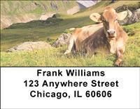 Relaxing Cows Address Labels