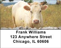 White Cows Address Labels