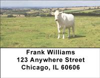 White Cows Address Labels