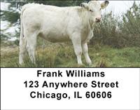 White Cows Address Labels