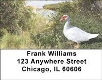 White Ducks Address Labels