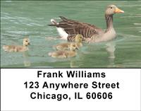 Duck Families Address Labels