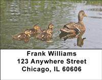 Duck Families Address Labels