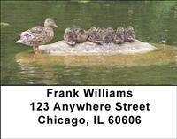 Duck Families Address Labels